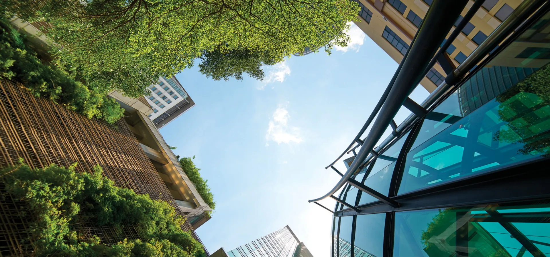 Latest Trends in Sustainable Construction